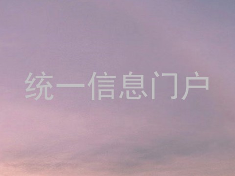 统一信息门户