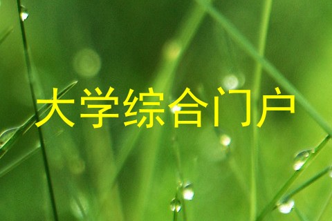 大学综合门户