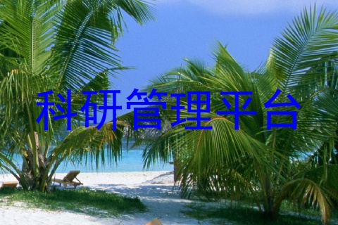 科研管理平台