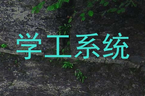 学工系统
