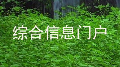 综合信息门户