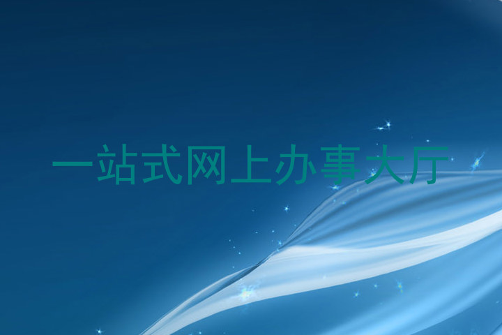 一站式网上办事大厅