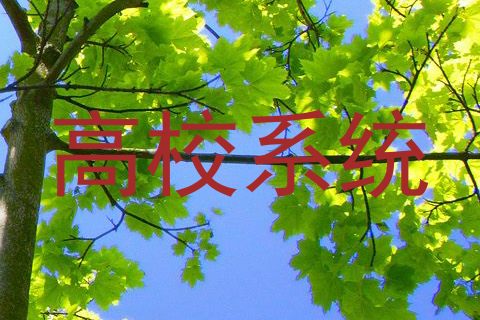 高校系统
