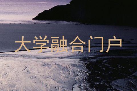 大学融合门户