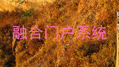 融合门户系统