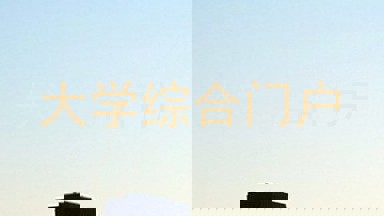 大学综合门户