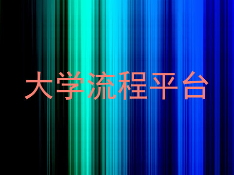 大学流程平台