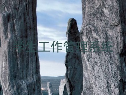 学生工作管理系统