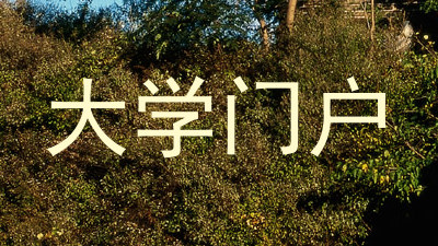 大学门户