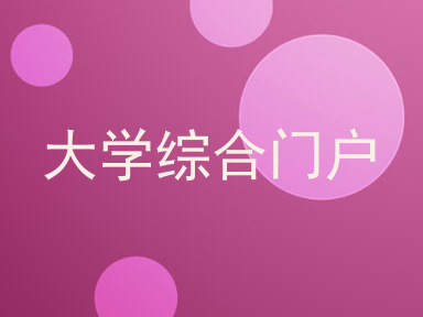 大学综合门户