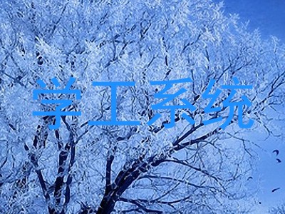 学工系统