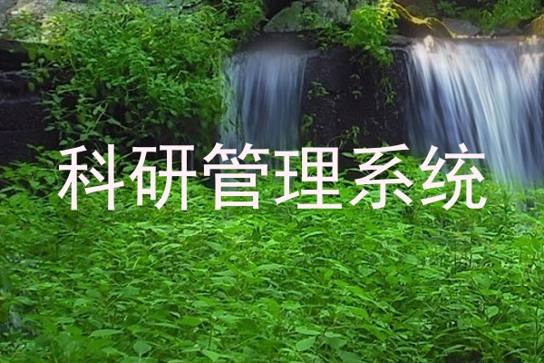 科研管理系统