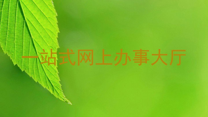 一站式网上办事大厅