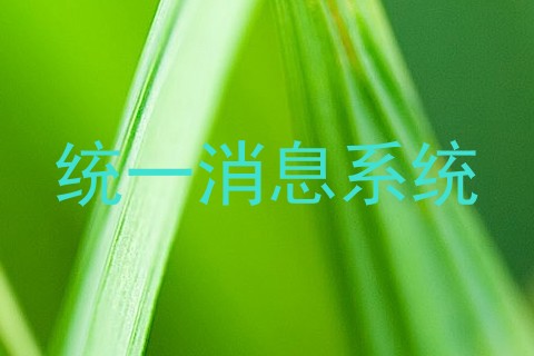 统一消息系统