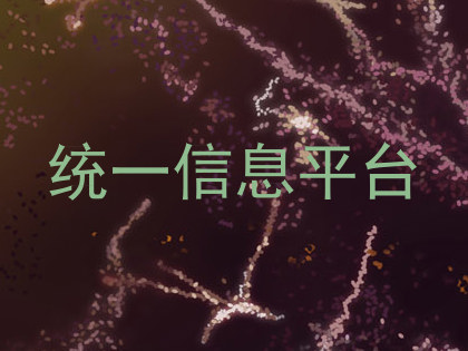 统一信息平台