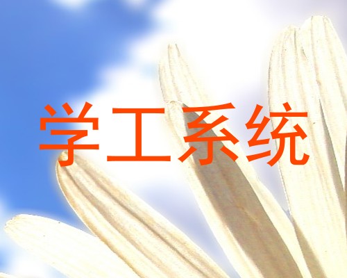 学工系统