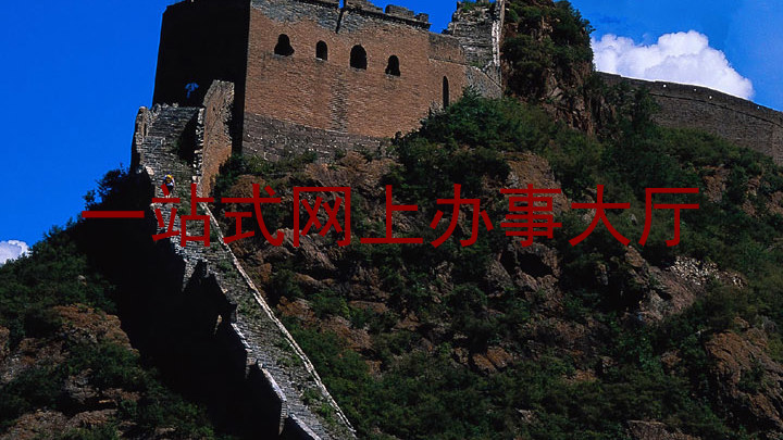 一站式网上办事大厅