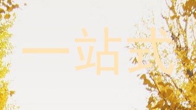 一站式