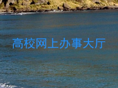 高校网上办事大厅