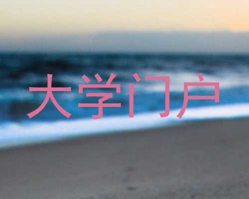 大学门户