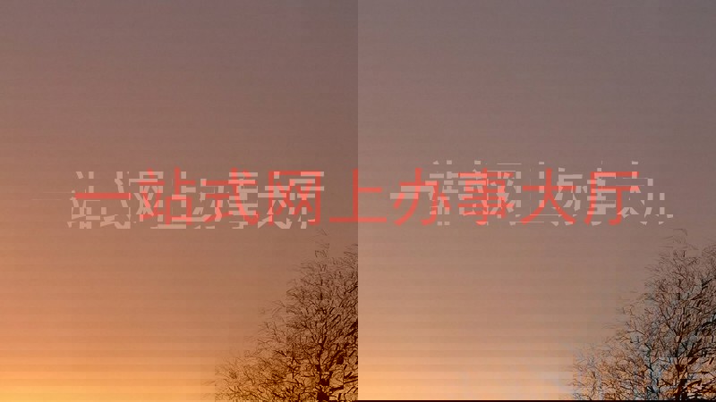 一站式网上办事大厅