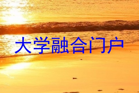 大学融合门户