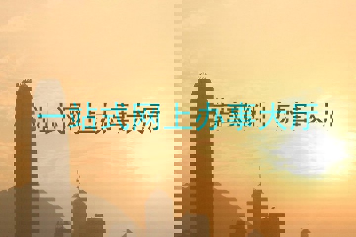 一站式网上办事大厅