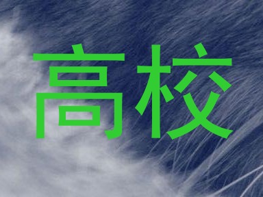 高校