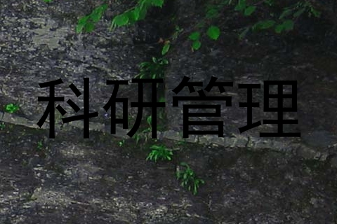 科研管理