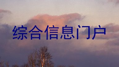 综合信息门户
