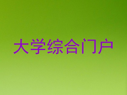 大学综合门户
