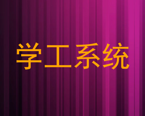学工系统