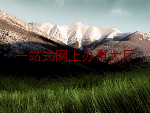 一站式网上办事大厅