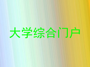 大学综合门户