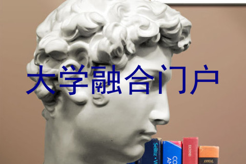 大学融合门户