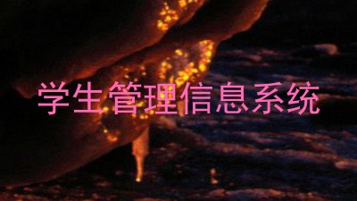 学生管理信息系统