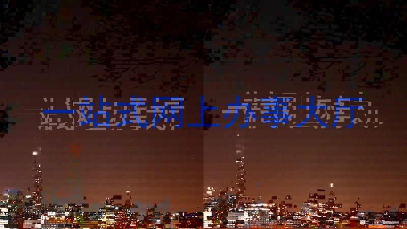 一站式网上办事大厅