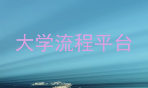 大学流程平台