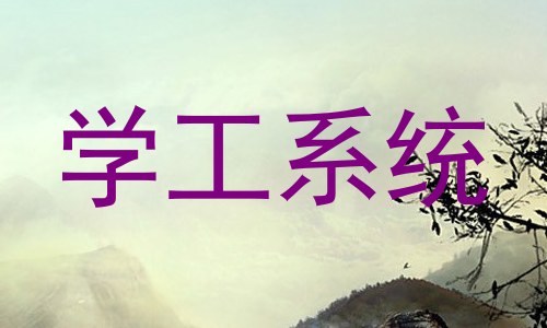 学工系统