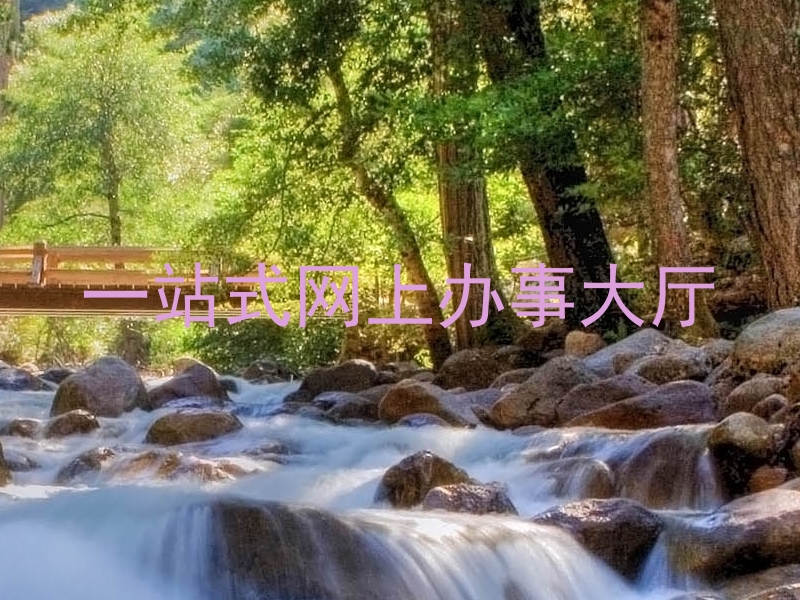 一站式网上办事大厅