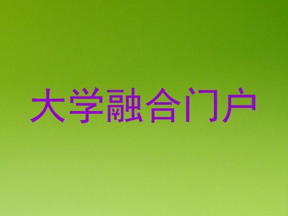 大学融合门户