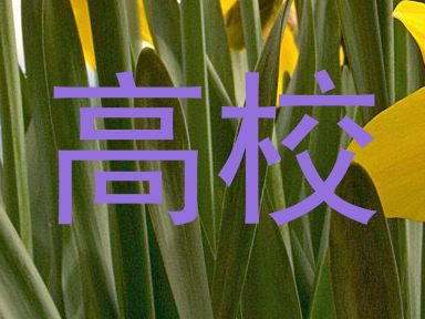 高校