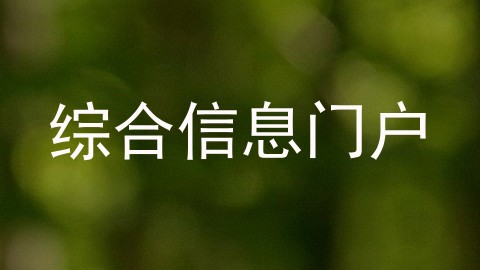 综合信息门户