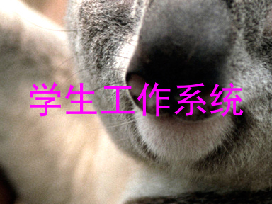 学生工作系统
