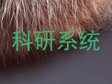 科研系统