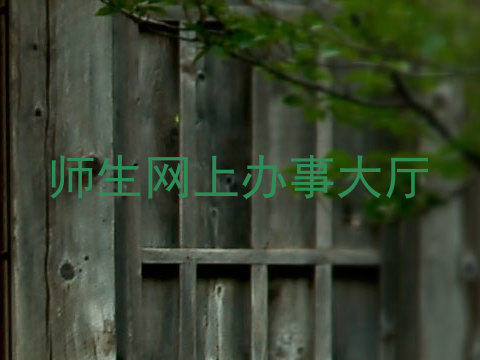 师生网上办事大厅