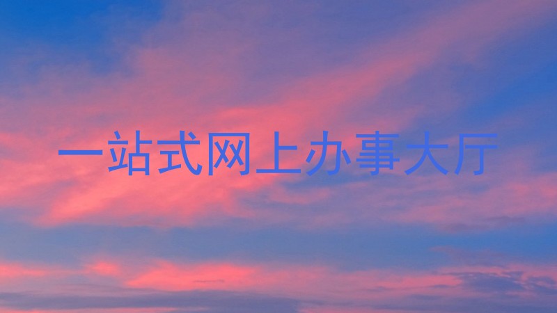 一站式网上办事大厅