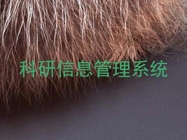 科研信息管理系统