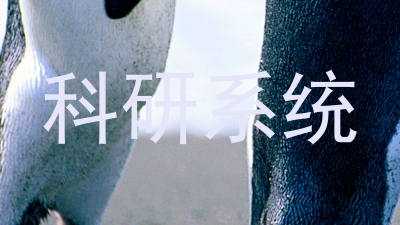科研系统