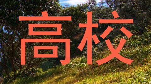 高校